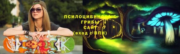 хмурый Чегем