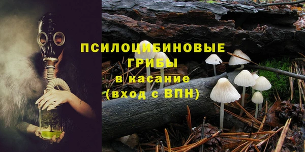 хмурый Чегем