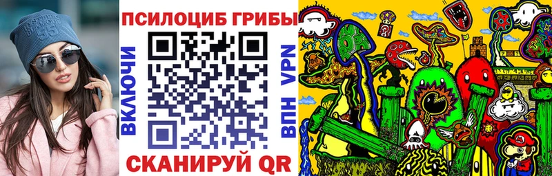 KRAKEN как зайти Азнакаево Псилоцибиновые грибы мицелий