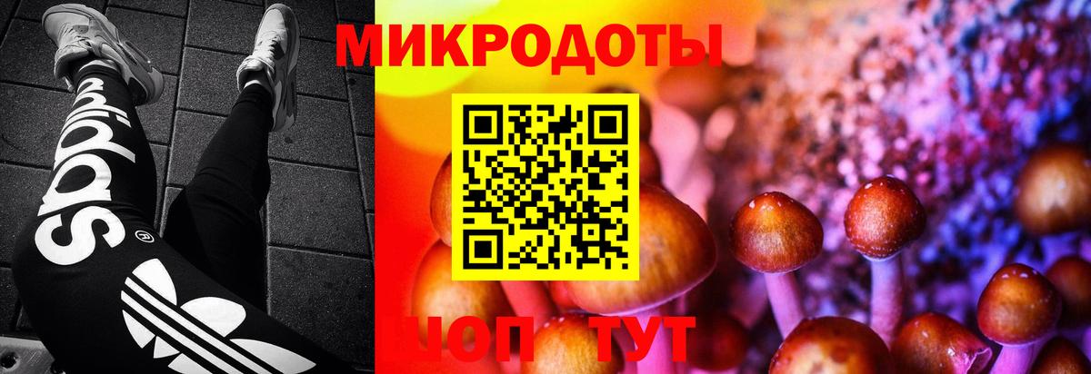 Галлюциногенные грибы прущие грибы Азнакаево